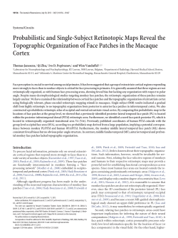 Probabilistic and Single-Subject Retinotopic Maps Reveal the