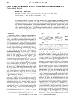 Energy Transfer and Relaxation Dynamics in Light
