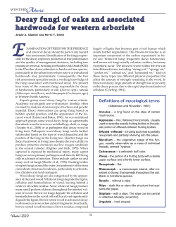 Decay fungi of oaks and associated hardwoods for western arborists