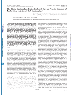The Biotin Carboxylase-Biotin Carboxyl Carrier Protein Complex of