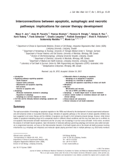 Interconnections between apoptotic, autophagic and necrotic