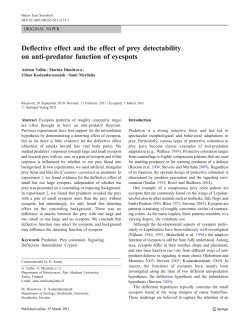 Deflective effect and the effect of prey detectability on anti