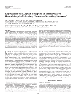 Expression of a Leptin Receptor in Immortalized