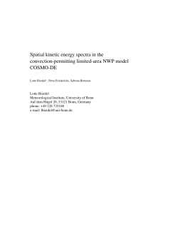 Spatial kinetic energy spectra in the convection