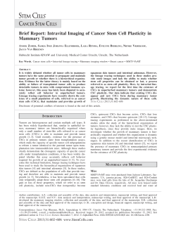 Intravital Imaging of Cancer Stem Cell Plasticity in Mammary Tumors
