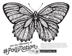 Join the coloration of