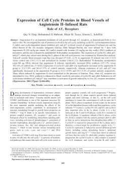 Expression of Cell Cycle Proteins in Blood Vessels of
