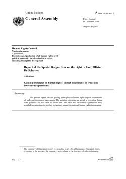 Guiding principles on human rights impact assessments of