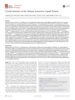 Crystal Structure of the Human Astrovirus Capsid Protein