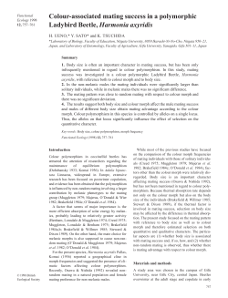 Colour-associated mating success in a polymorphic Ladybird Beetle
