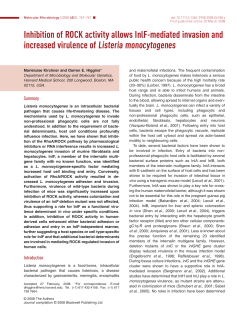 Inhibition of ROCK activity allows InlF-mediated