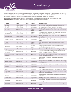 Tomatoes 1/2 - Al`s Garden Center