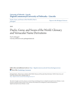 Ducks, Geese, and Swans of the World