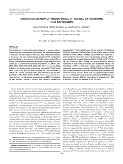 characterization of mouse small intestinal cytochrome