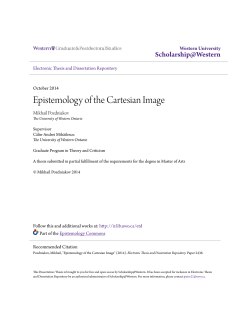 Epistemology of the Cartesian Image
