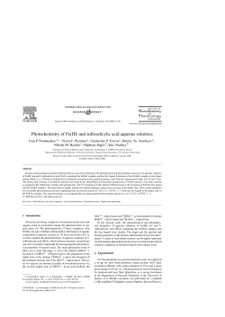 Photochemistry of Fe(III) and sulfosalicylic acid aqueous solutions