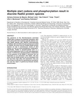 Multiple start codons and phosphorylation result