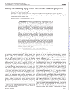 Primary cilia and kidney injury - AJP