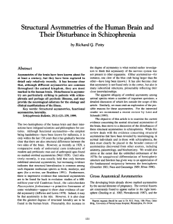 Structural Asymmetries of the Human Brain and