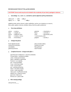 REVISION ADJECTIVES OF THE 3rd DECLENSION