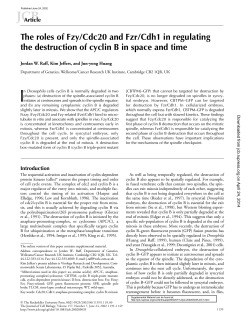The roles of Fzy/Cdc20 and Fzr/Cdh1 in regulating the destruction of