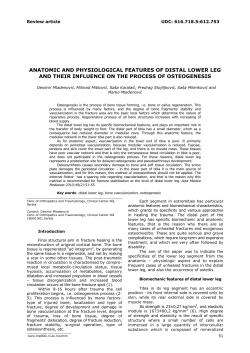 ANATOMIC AND PHYSIOLOGICAL FEATURES OF DISTAL LOWER