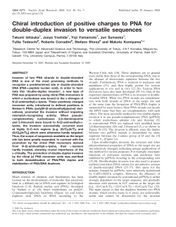 Chiral introduction of positive charges to PNA for double