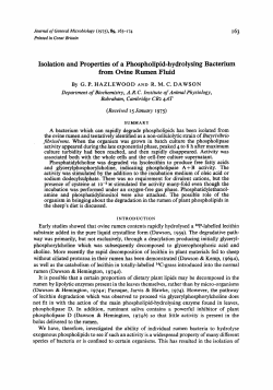 Isolation and Properties of a Phospholipid