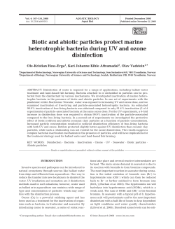 Biotic and abiotic particles protect marine heterotrophic bacteria