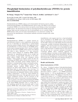 Phospholipid biotinylation of polydimethylsiloxane (PDMS) for