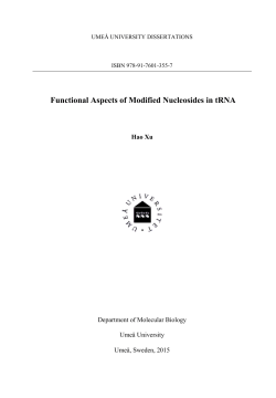 Functional Aspects of Modified Nucleosides in tRNA