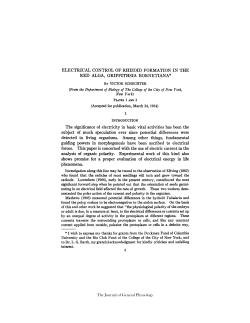 ELECTRICAL CONTROL OF RHIZOID