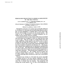 HEMOGLOBIN PRODUCTION IN ANEMIA AS INFLUENCED