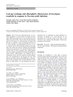 Leaf gas exchange and chlorophyll a fluorescence of
