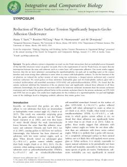 Reduction of Water Surface Tension Significantly Impacts Gecko