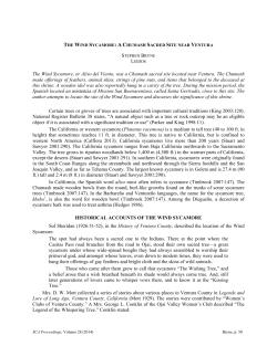 The Wind Sycamore, or Aliso del Viento, was a Chumash sacred site