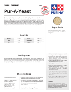 Pur-A-Yeast - EquiPurina