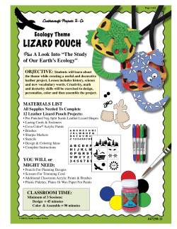 lizard pouch - Tandy Leather