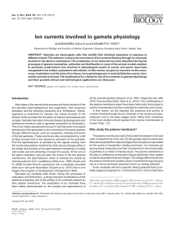 Ion currents involved in gamete physiology