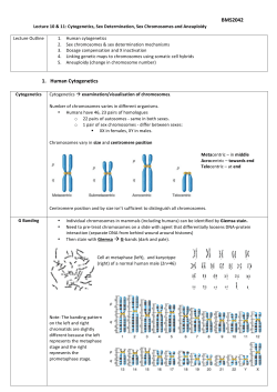 BMS2042 1. Human Cytogenetics