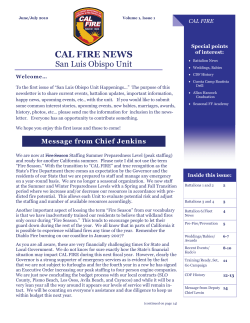 01 Newsletter Summer 2010