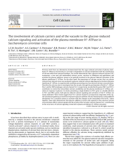 The involvement of calcium carriers and of the vacuole in the