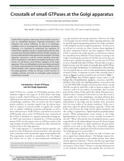 Crosstalk of small GTPases at the Golgi apparatus