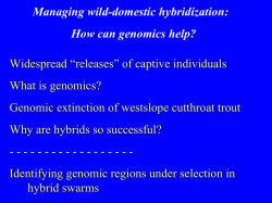 Genomic extinction of westslope cutthroat trout Why are hybri