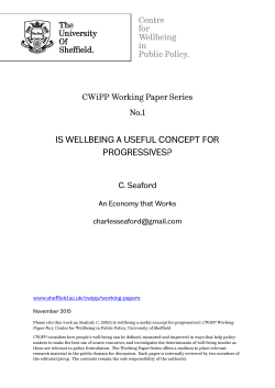 is wellbeing a useful concept for progressives?