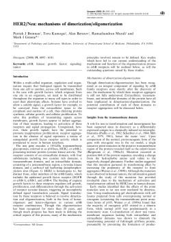 HER2/Neu: mechanisms of dimerization/oligomerization