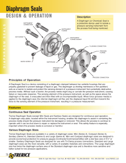 Diaphragm Seals