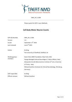 Cell Body-Motor Neuron Counts
