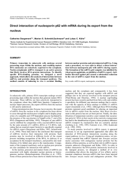 Direct interaction of nucleoporin p62 with mRNA during its export