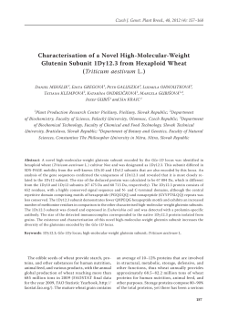 Characterisation of a Novel High-Molecular